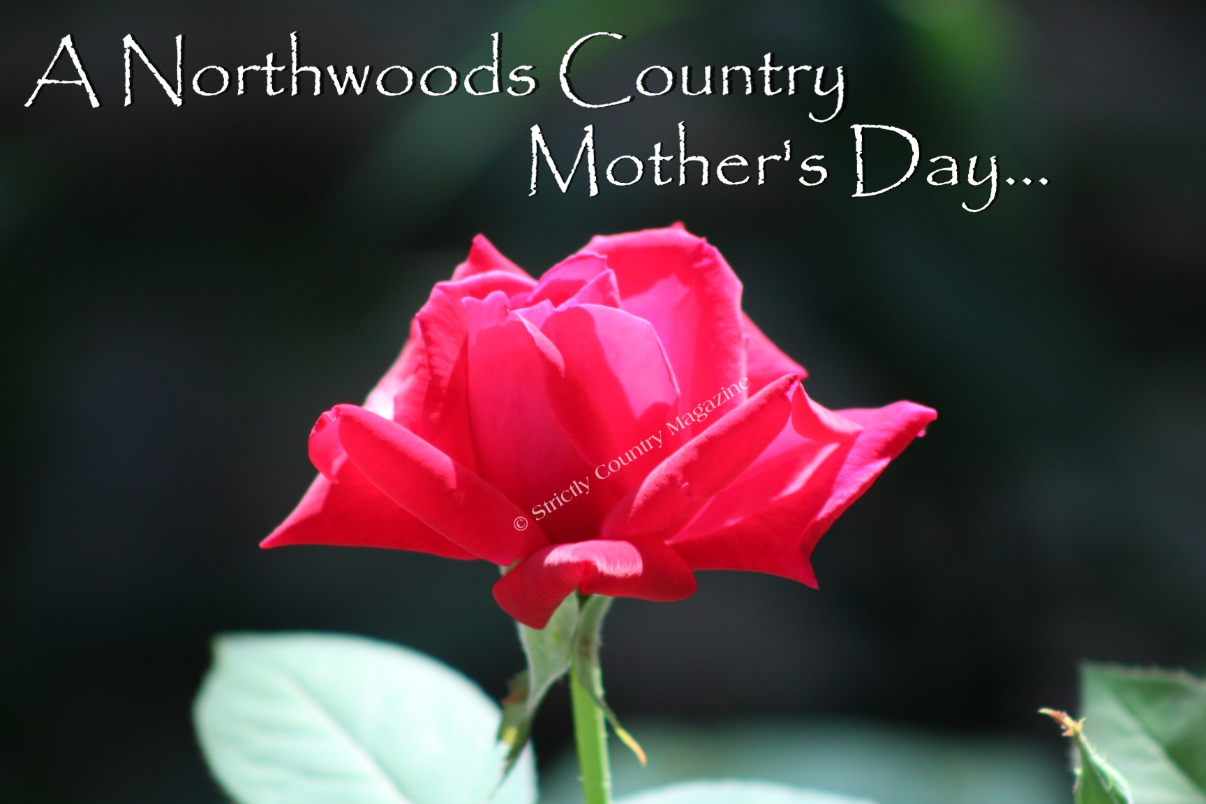 Strictly Country Copyright A Northwoods Country Mother's Day title